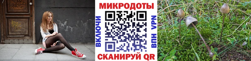 Купить  Кохма  Псилоцибиновые грибы Magic Shrooms 